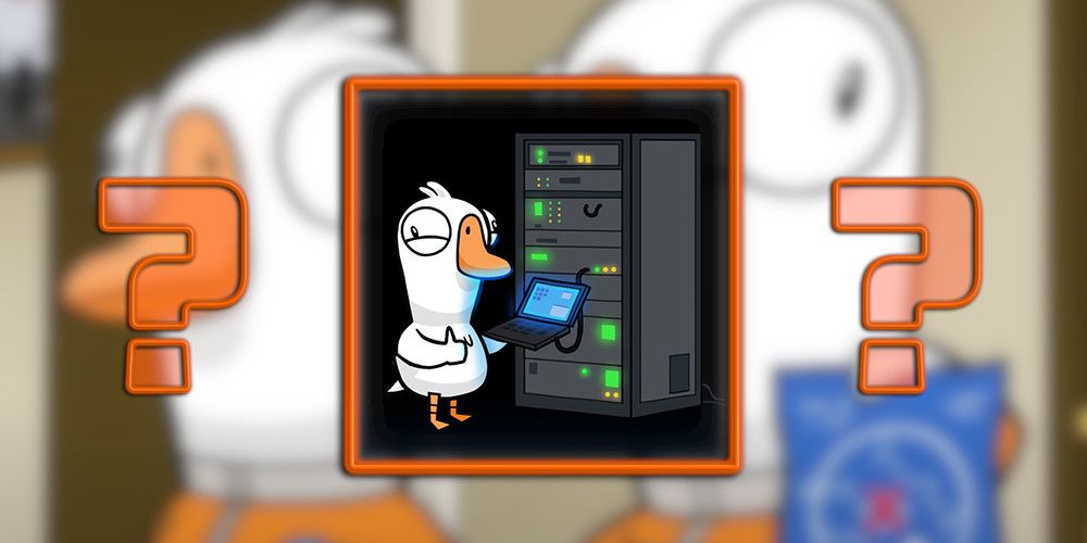 2 question marks around duck that is giving thumbs up next to server and laptop