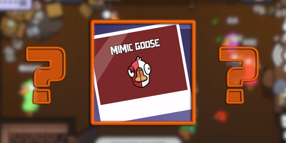 2 question marks around polaroid of mimic goose with text mimic goose