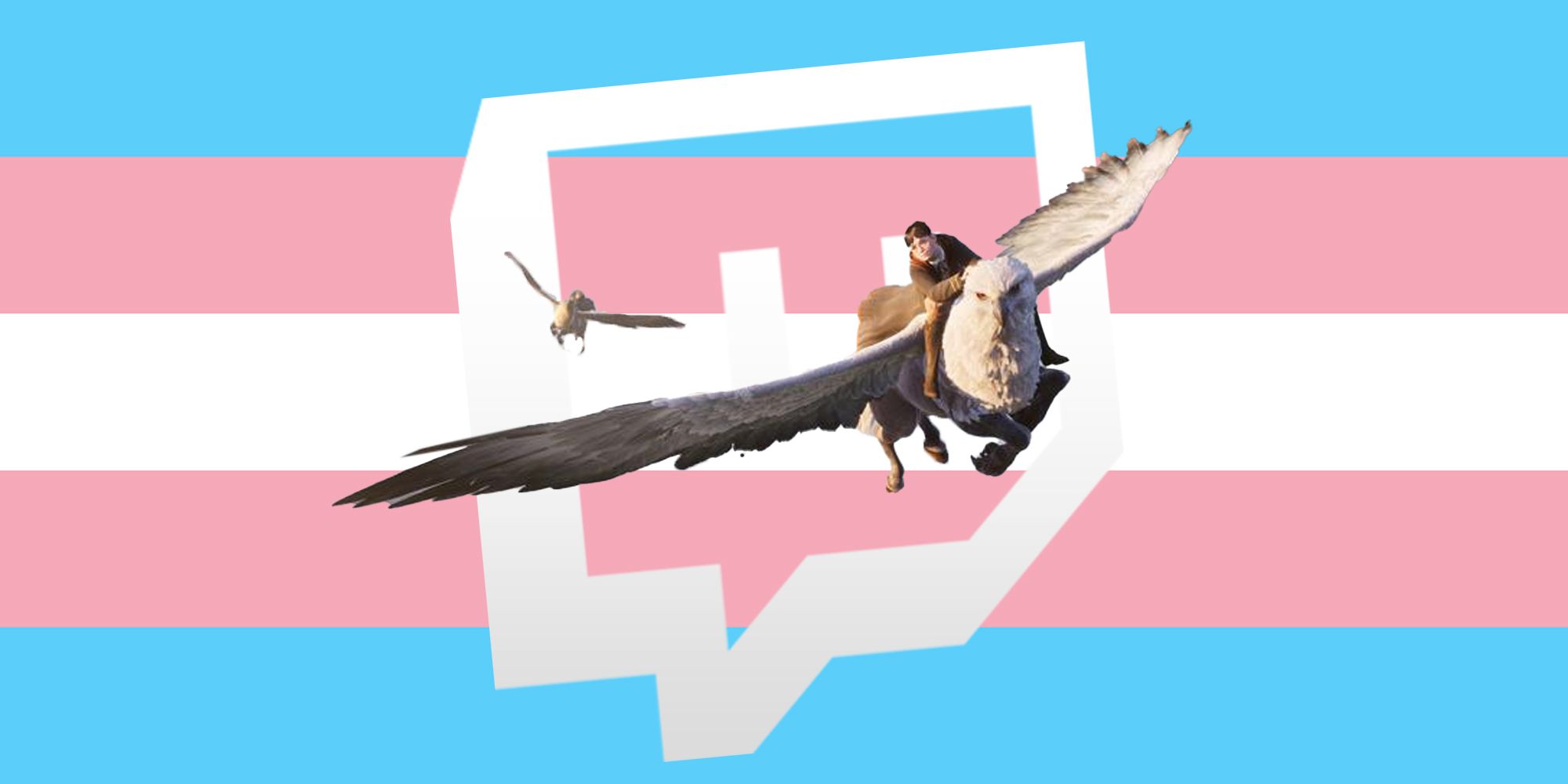hogwarts legacy twitch trans flag