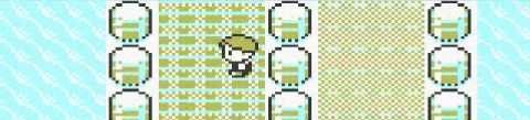 Trainer on Nugget Bridge in Pokemon Yellow