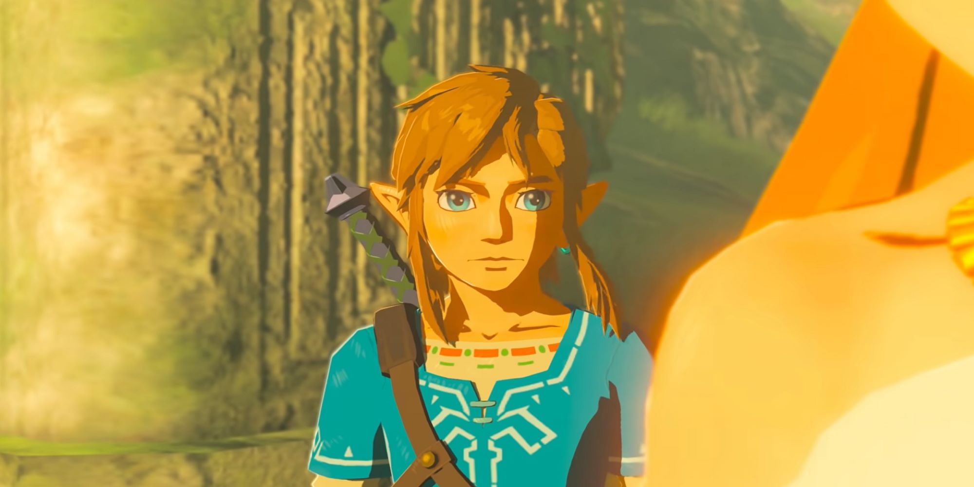 Legend of Zelda Breath Of The Wild Link