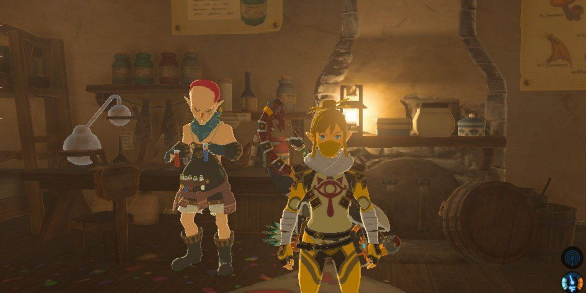 Link in the Dye Shop with the owner in the background in Breath of the Wild.