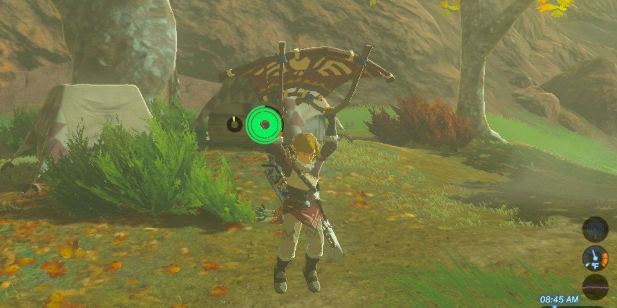 Link Using The Paraglider from The Legend of Zelda: Breath of The Wild