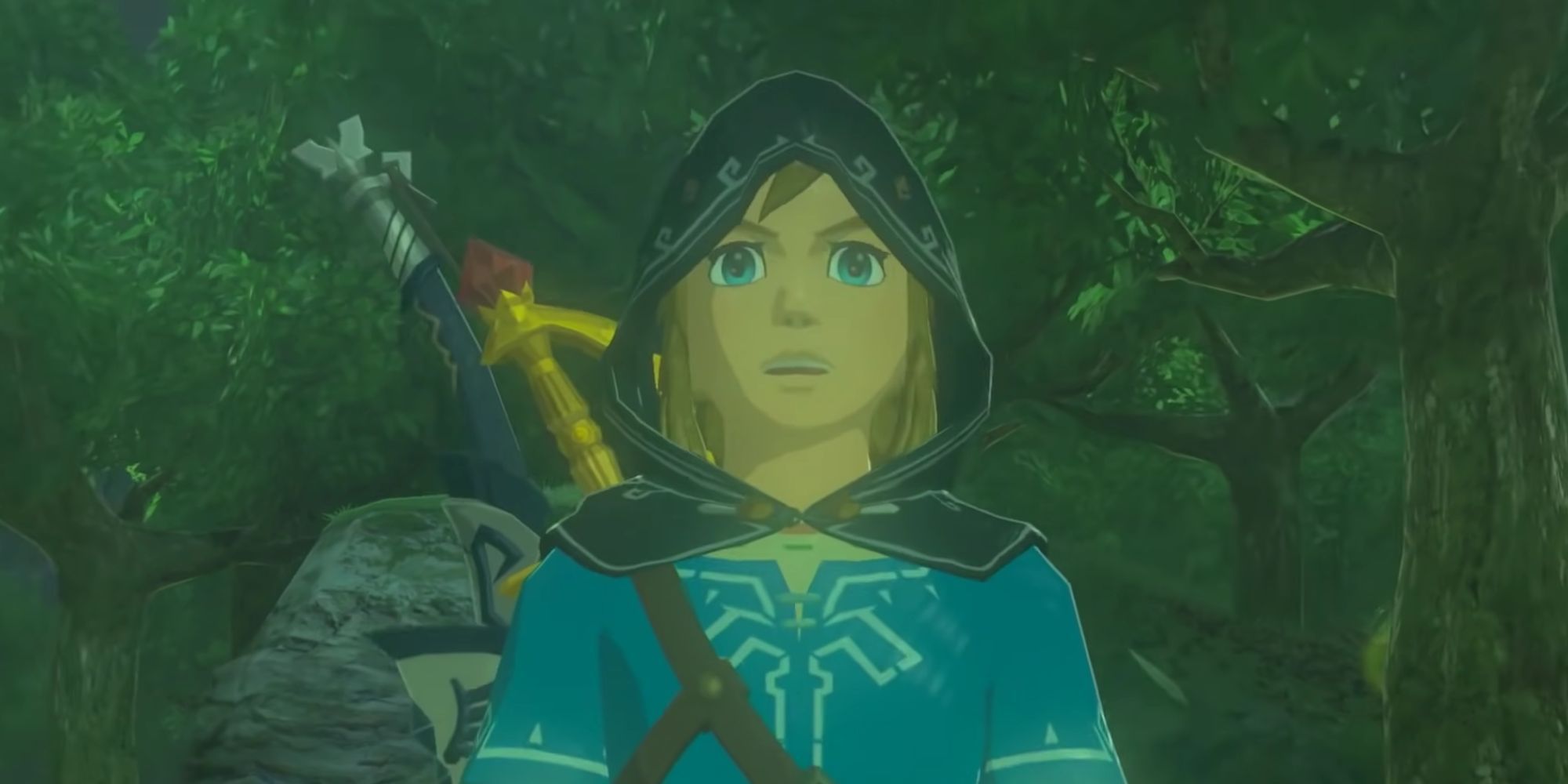 Link in shock from Breath of the Wild.
