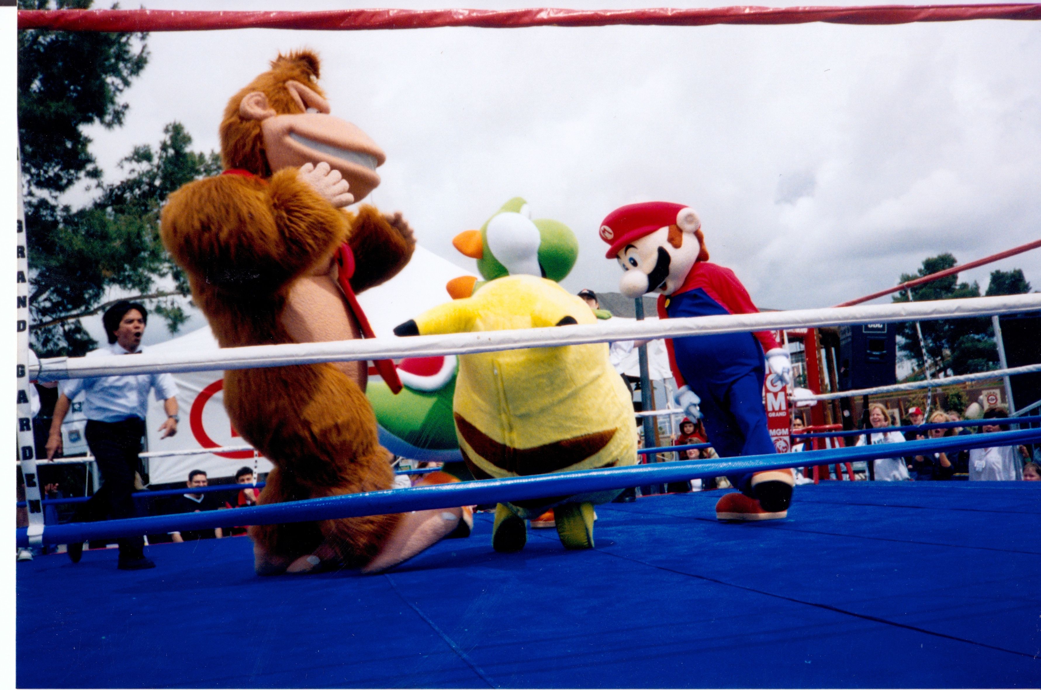 Mario Yoshi Pikachu Donkey Kong Wrestle 2