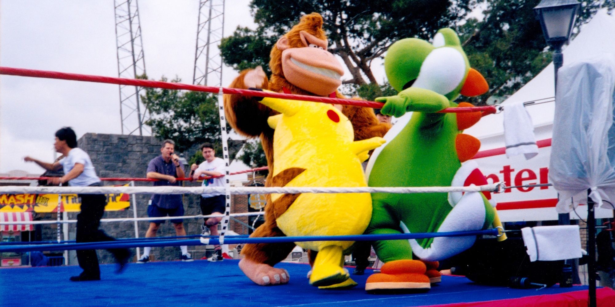 Mario Yoshi Pikachu Donkey Kong Wrestle
