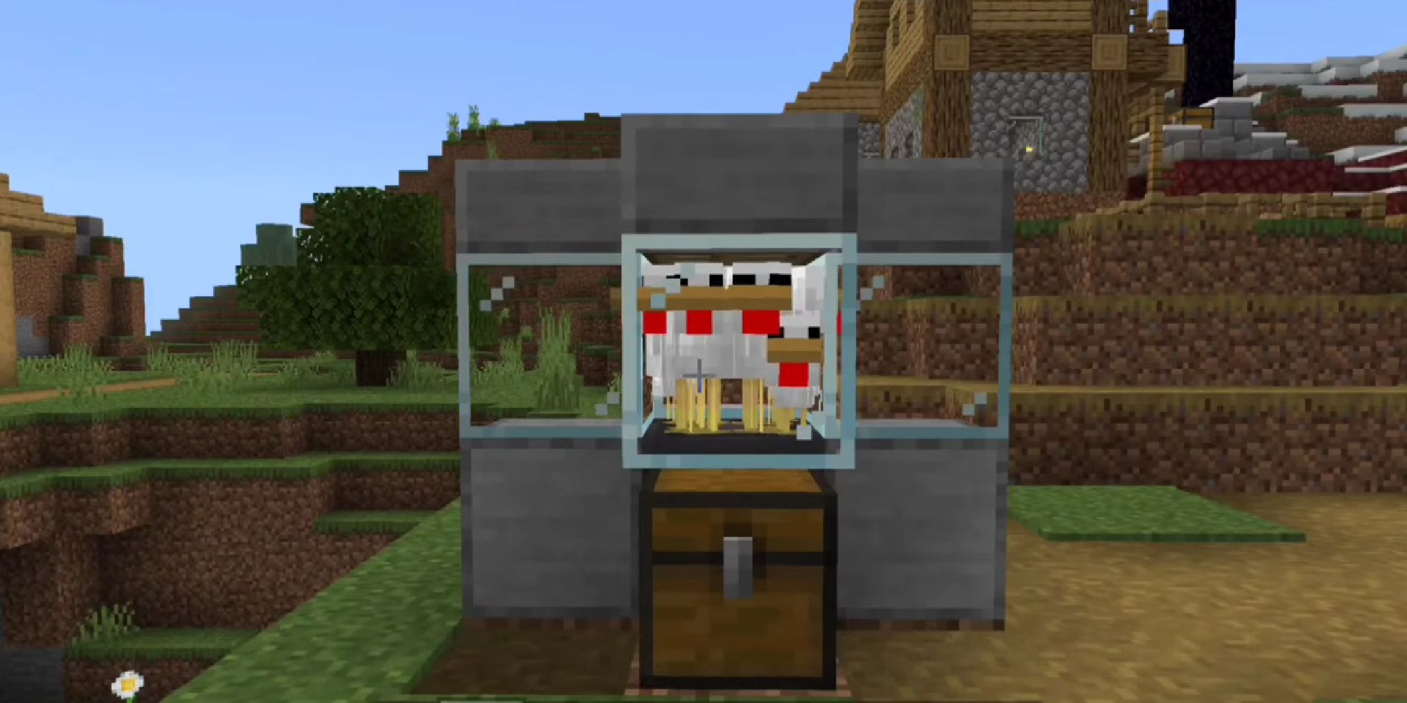 minecraft egg farm with chickens in closed area