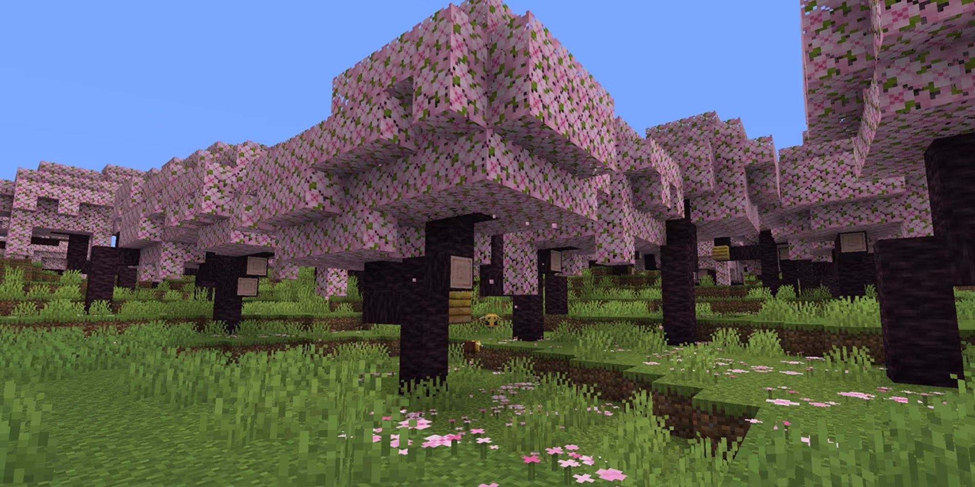 Minecraft New Cherry Blossom Biome
