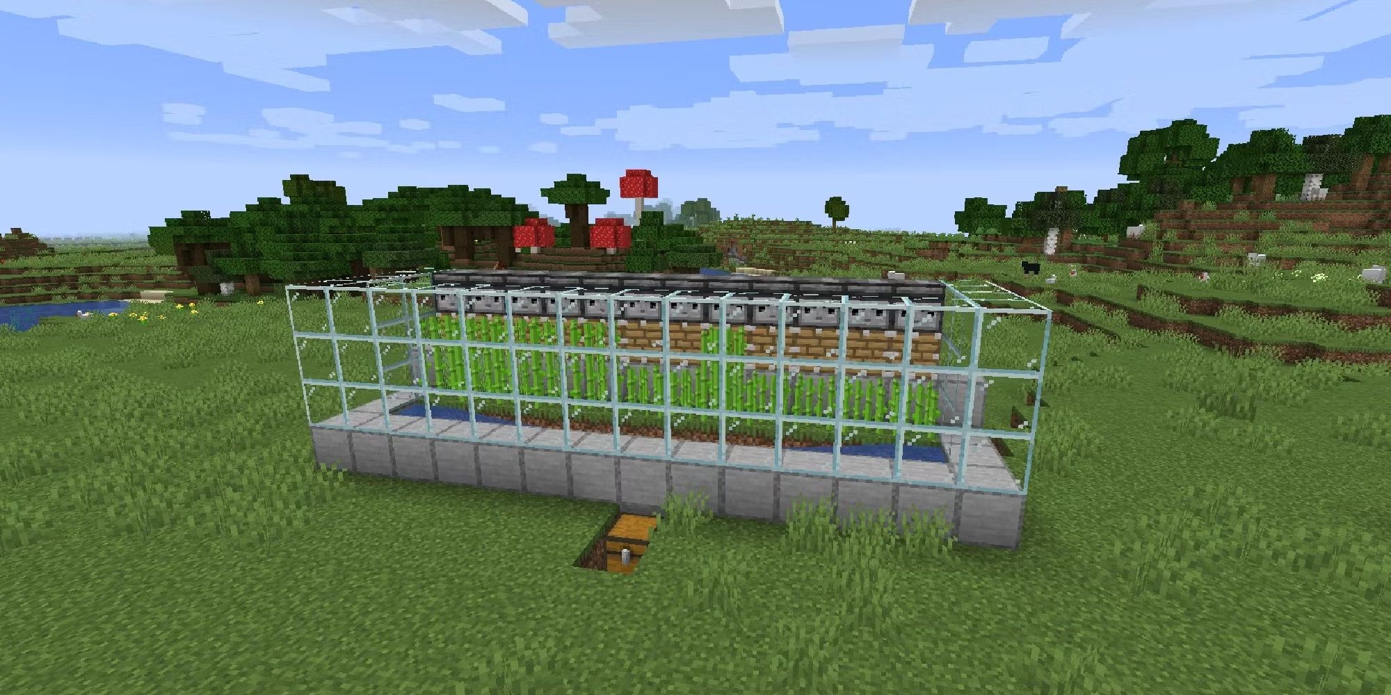 Minecraft Redstone Sugarcane Farm With Glass In A Meadow Biome