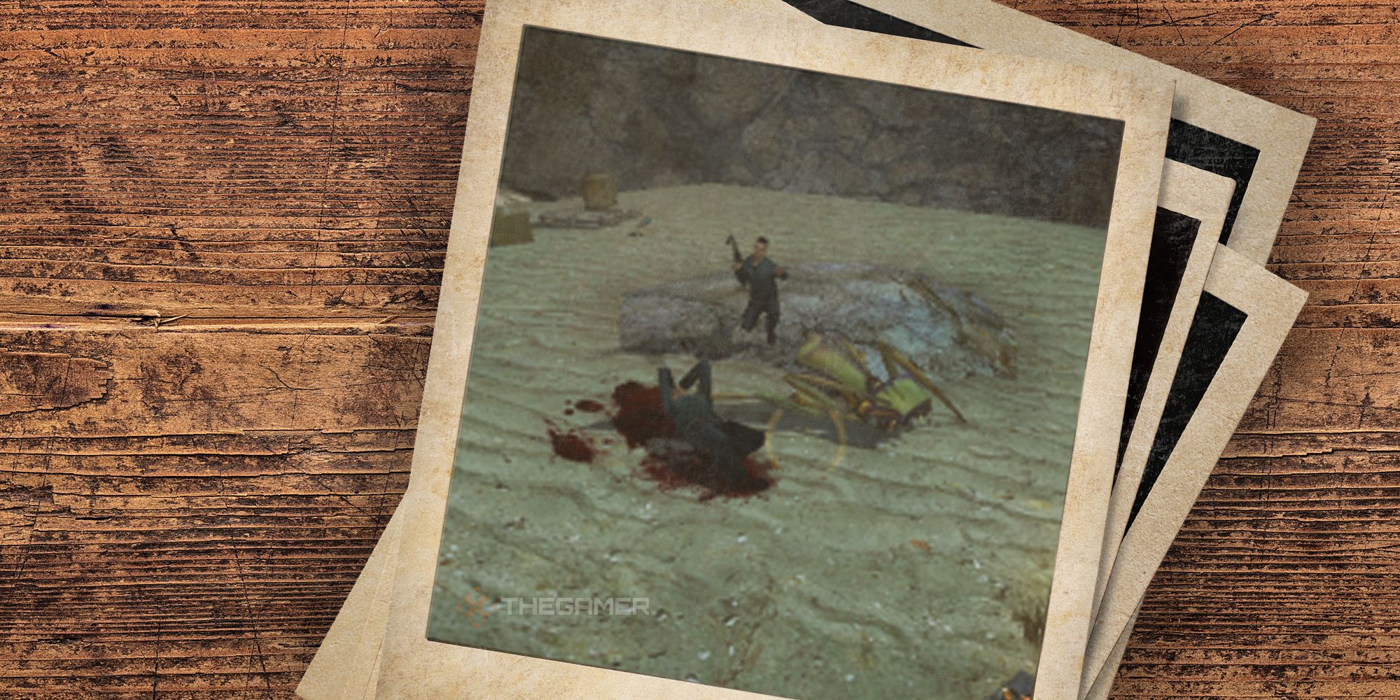 Polaroid photo showing Half-Life 2's Don't Step on the Sand moment in which Laszlo is bleeding out next to a dead Antlion beside his friend on a rock
