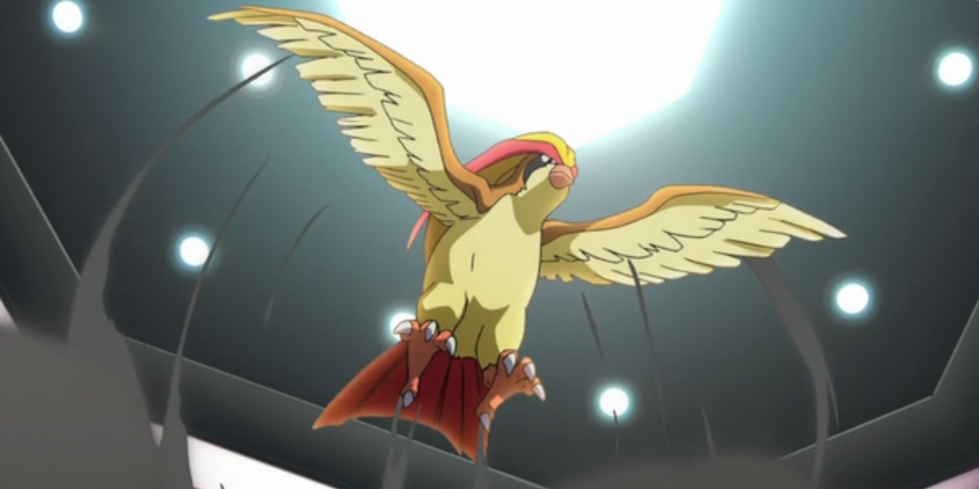 Pidgeot blasts dust everywhere after launching into the air