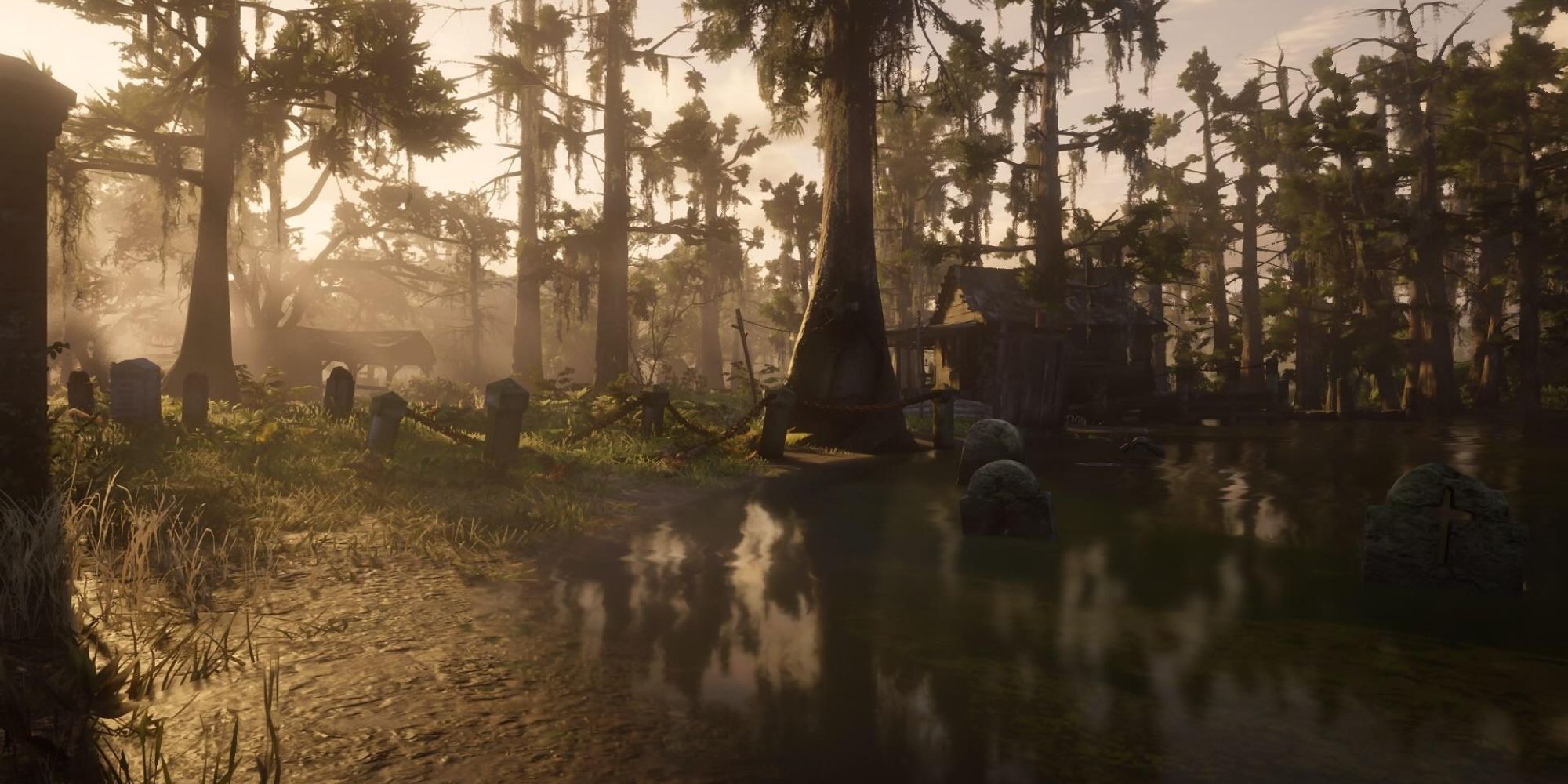 red dead redemption 2 light coming through trees in swamp