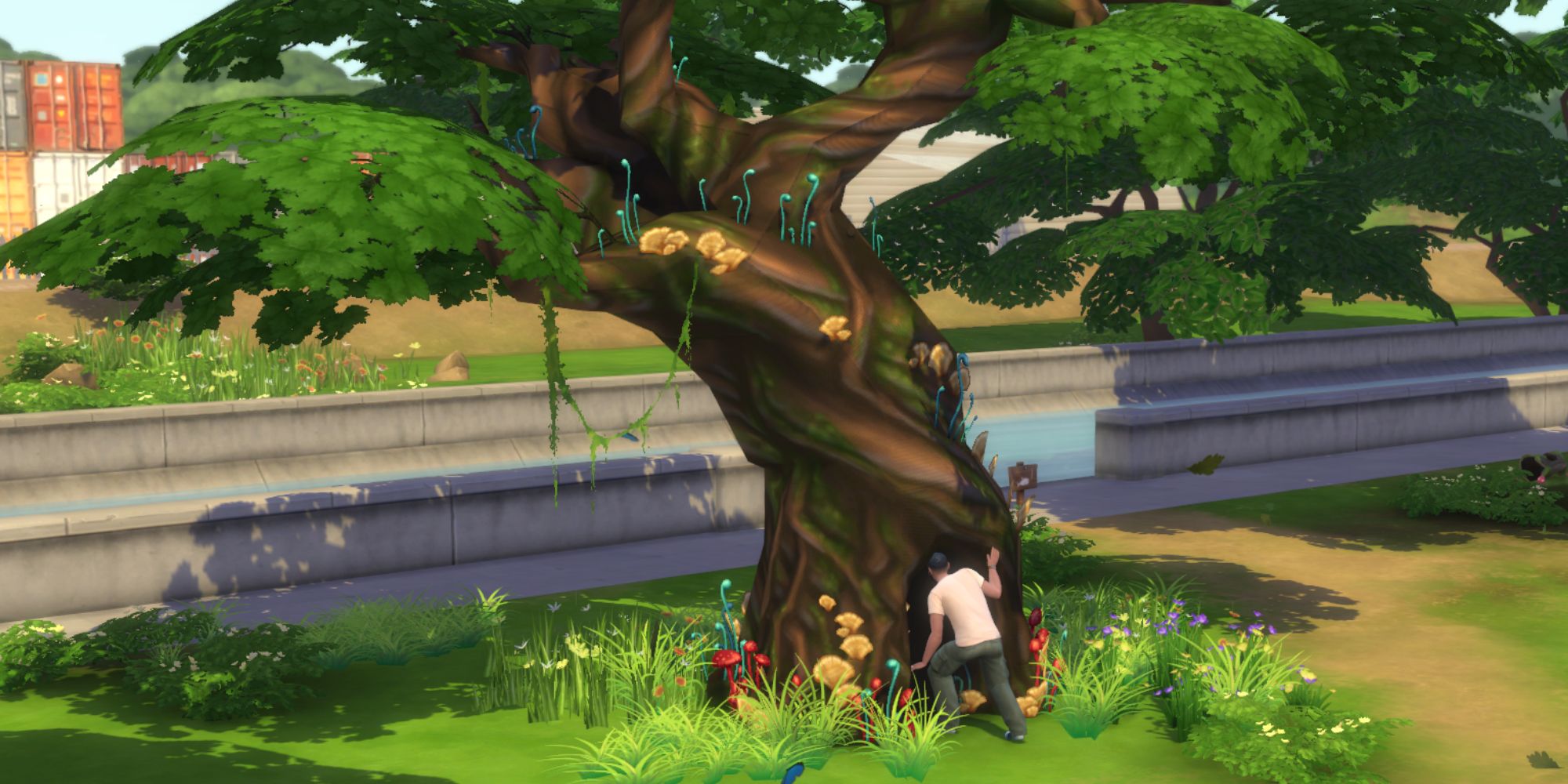 Sims 4 Bob Pancakes Entering Sylvan Glade through the tree in Foundry Cove