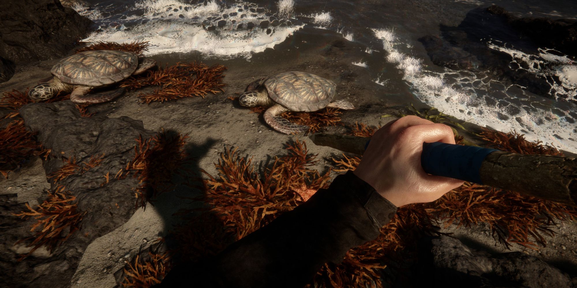 An image of the Craftable Spear from Sons Of The Forest, with the player wielding a spear to attack a turtle.