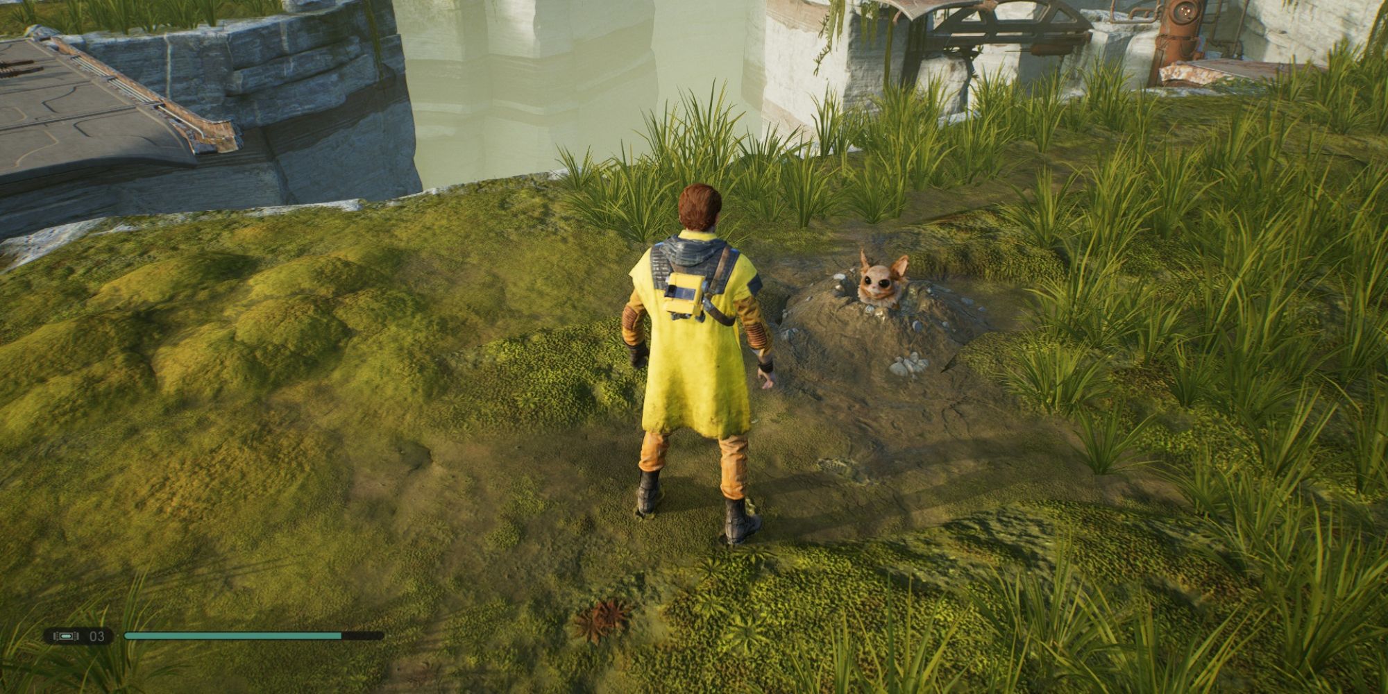 Where To Find All Bogano Collectibles In Star Wars Jedi Fallen Order