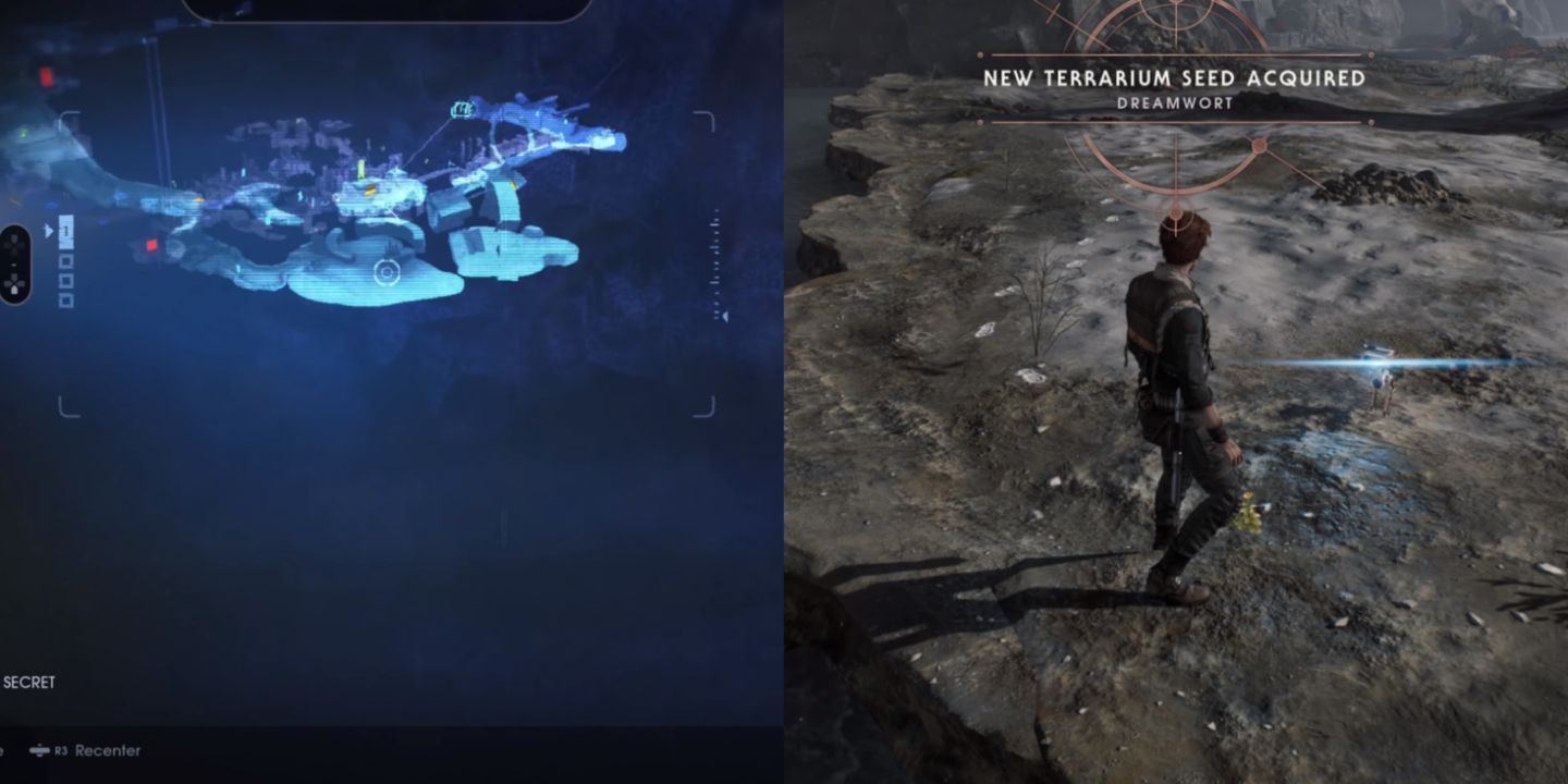 Where To Find All Terrarium Seeds In Star Wars Jedi Fallen Order