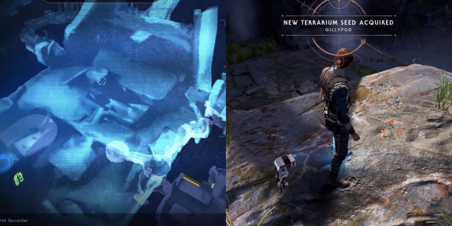 Where To Find All Terrarium Seeds In Star Wars Jedi Fallen Order