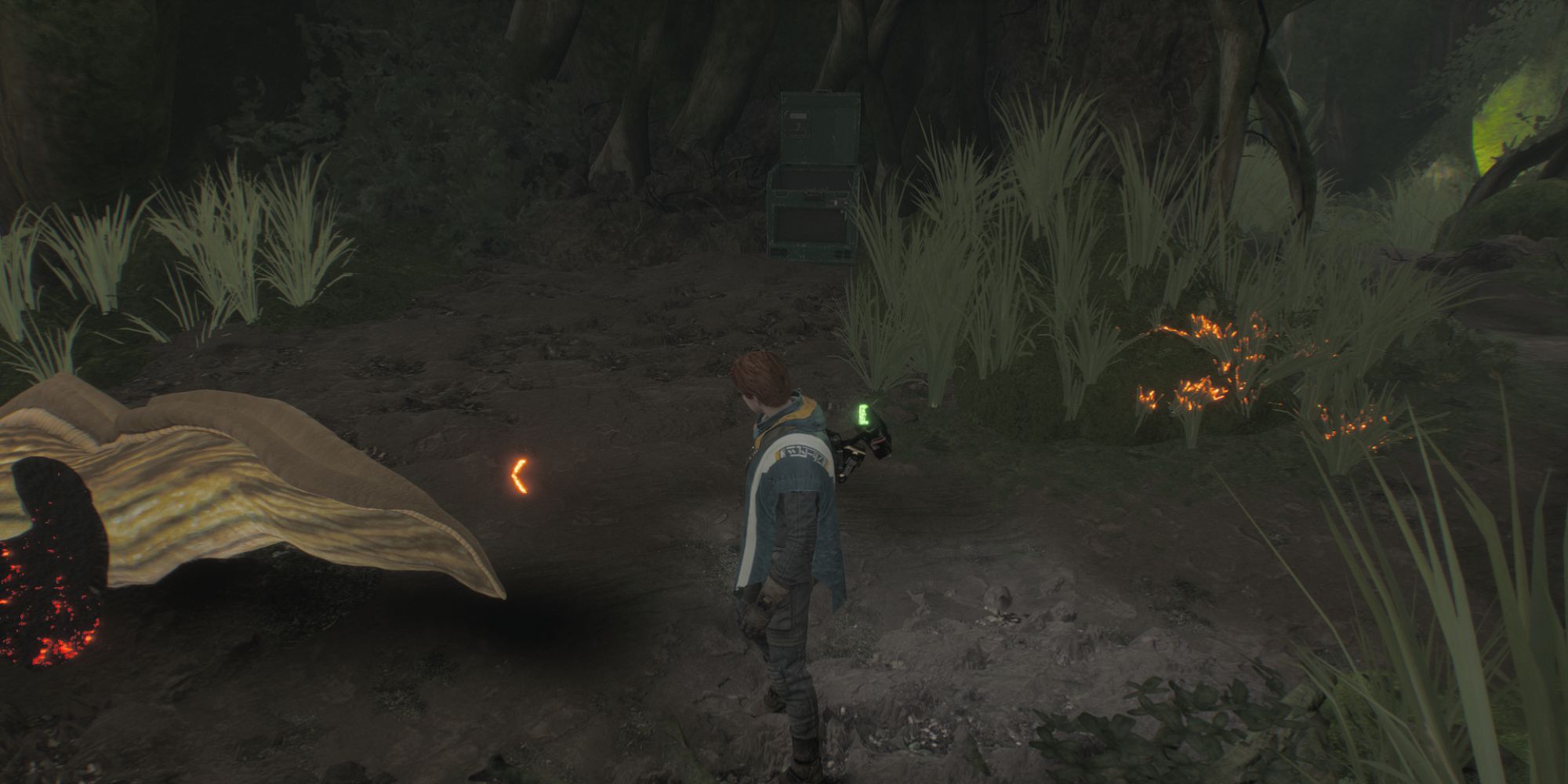 Where To Find All Kasyyyk Collectibles In Star Wars Jedi Fallen Order