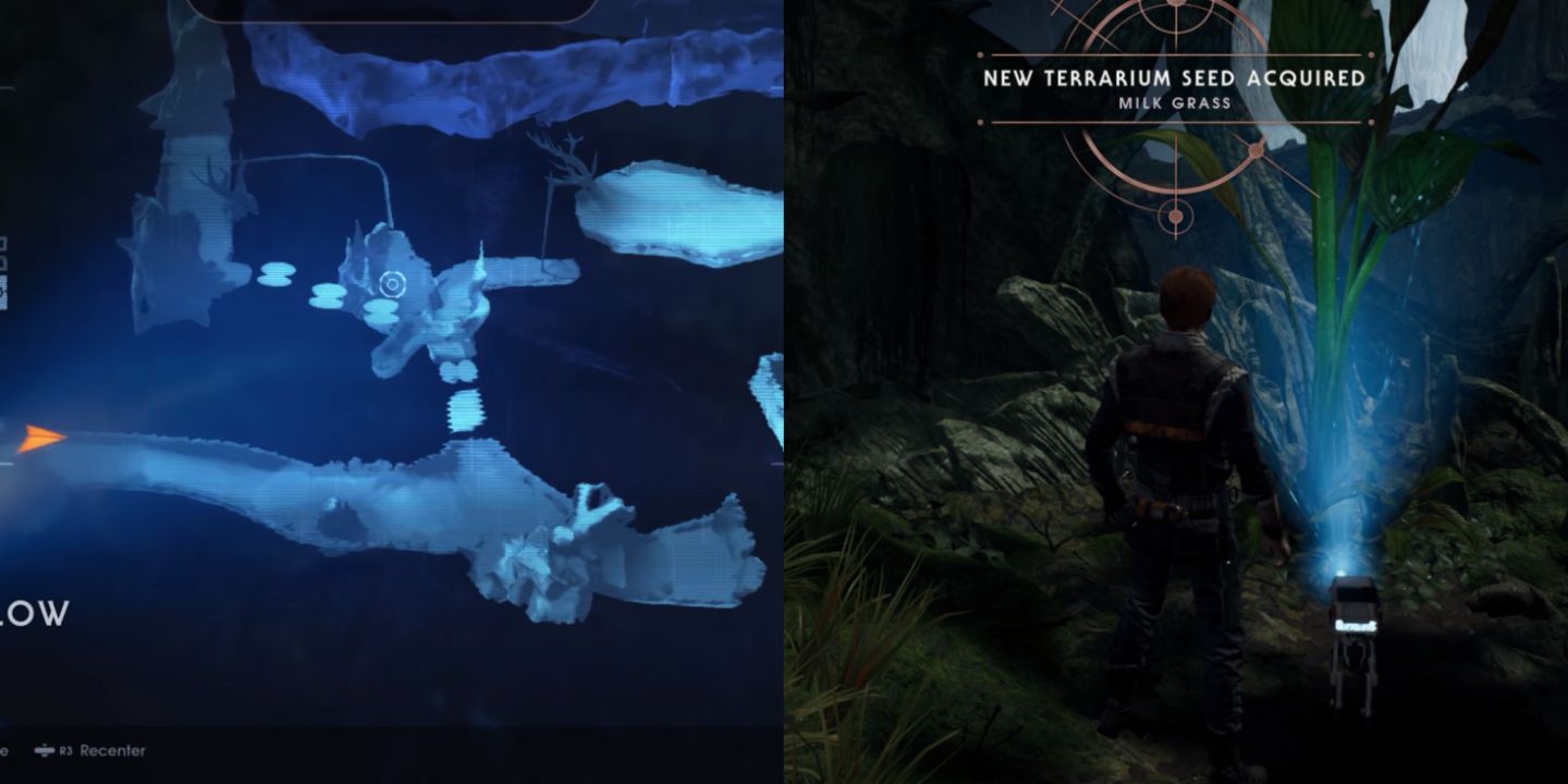 Where To Find All Terrarium Seeds In Star Wars Jedi Fallen Order