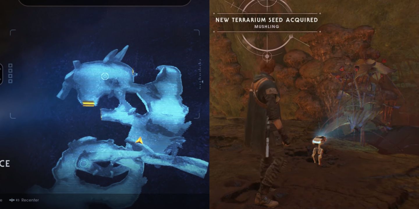 Where To Find All Terrarium Seeds In Star Wars Jedi Fallen Order