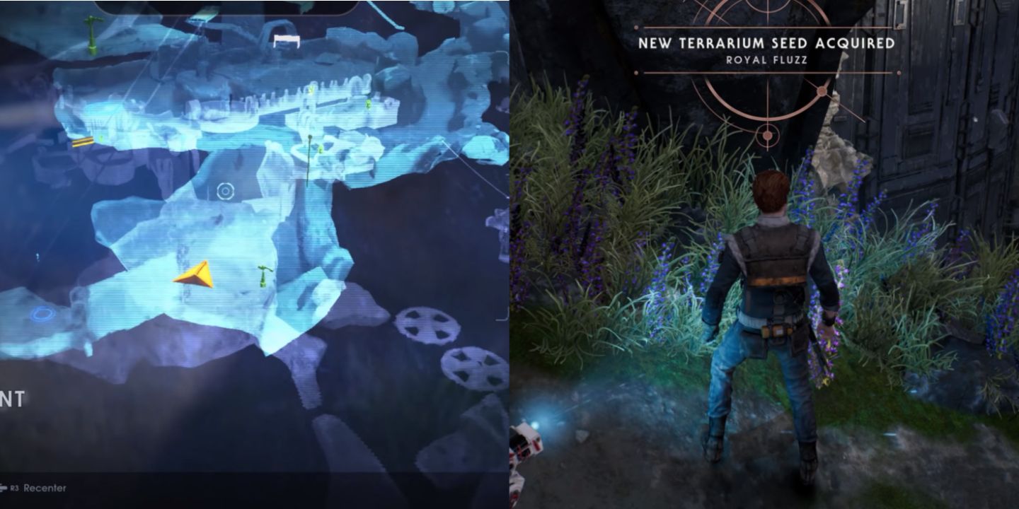 Where To Find All Terrarium Seeds In Star Wars Jedi Fallen Order