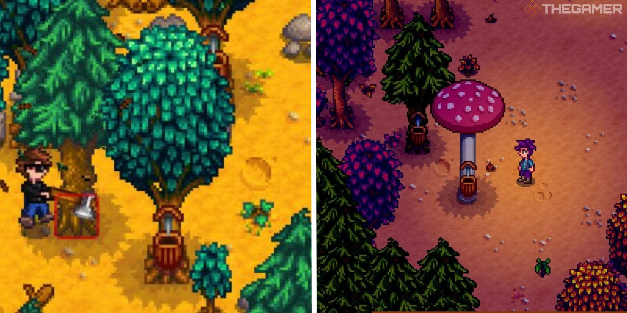 split image showing tapper on normal tree and tapper on mushroom tree
