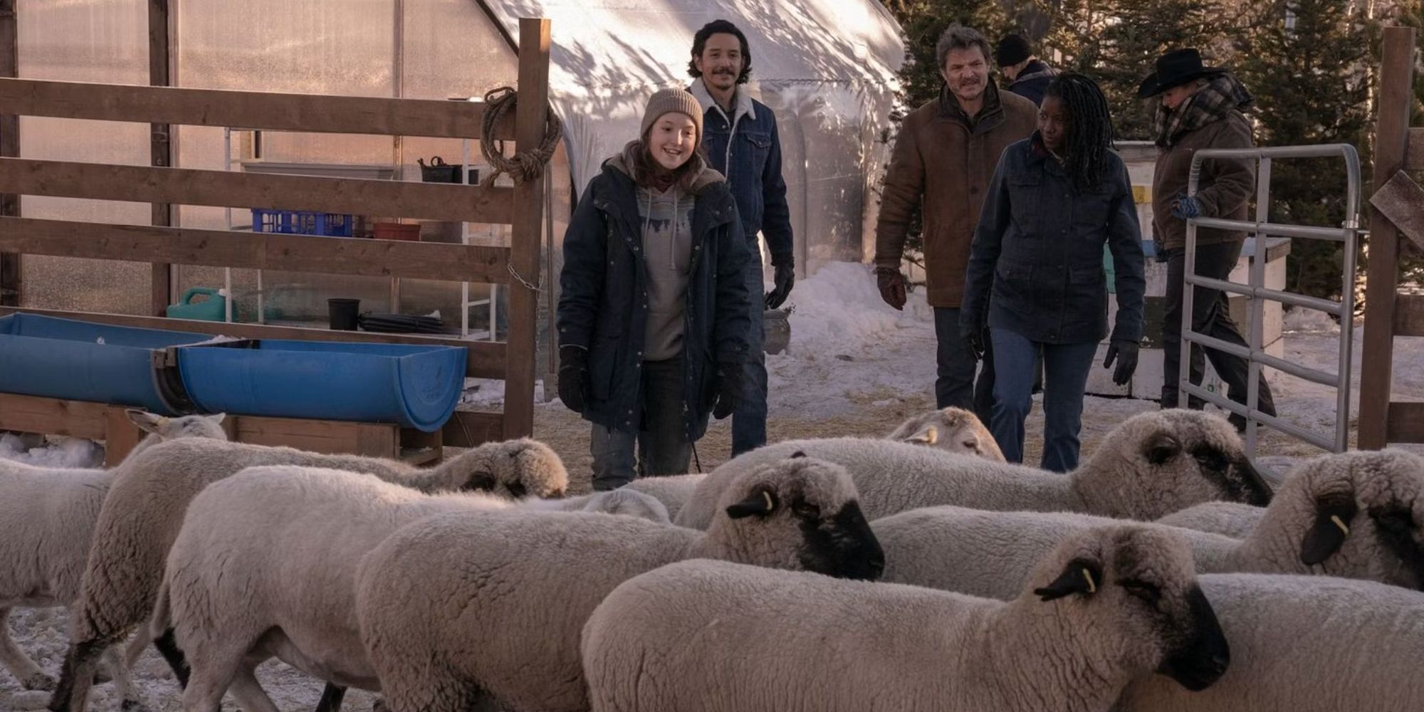 Ellie, Tommy, Joel, and Maria looking at a flock of sheep from The Last of Us episode 6