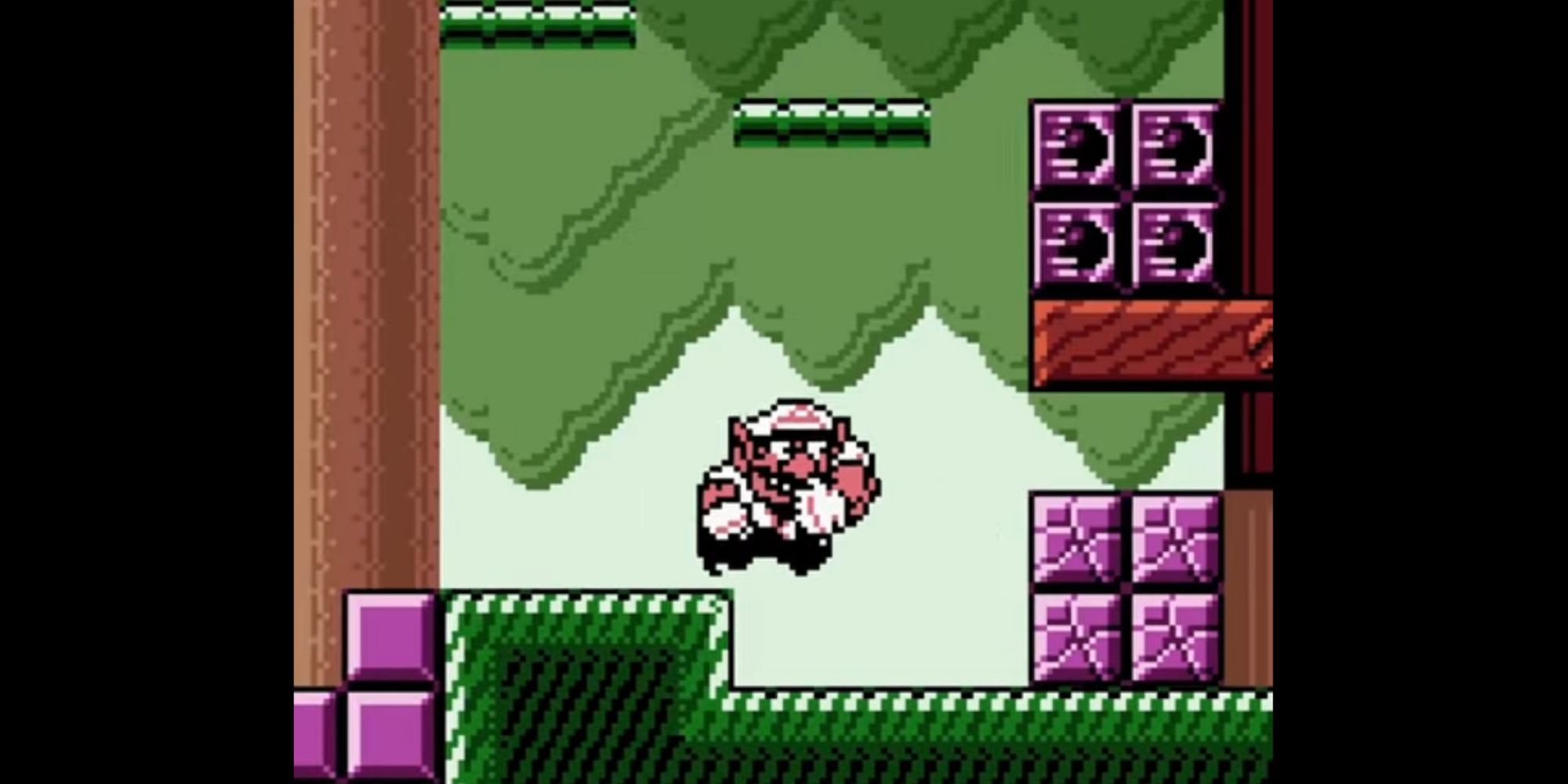 Wario charges toward bricks in a forest in Wario Land 3