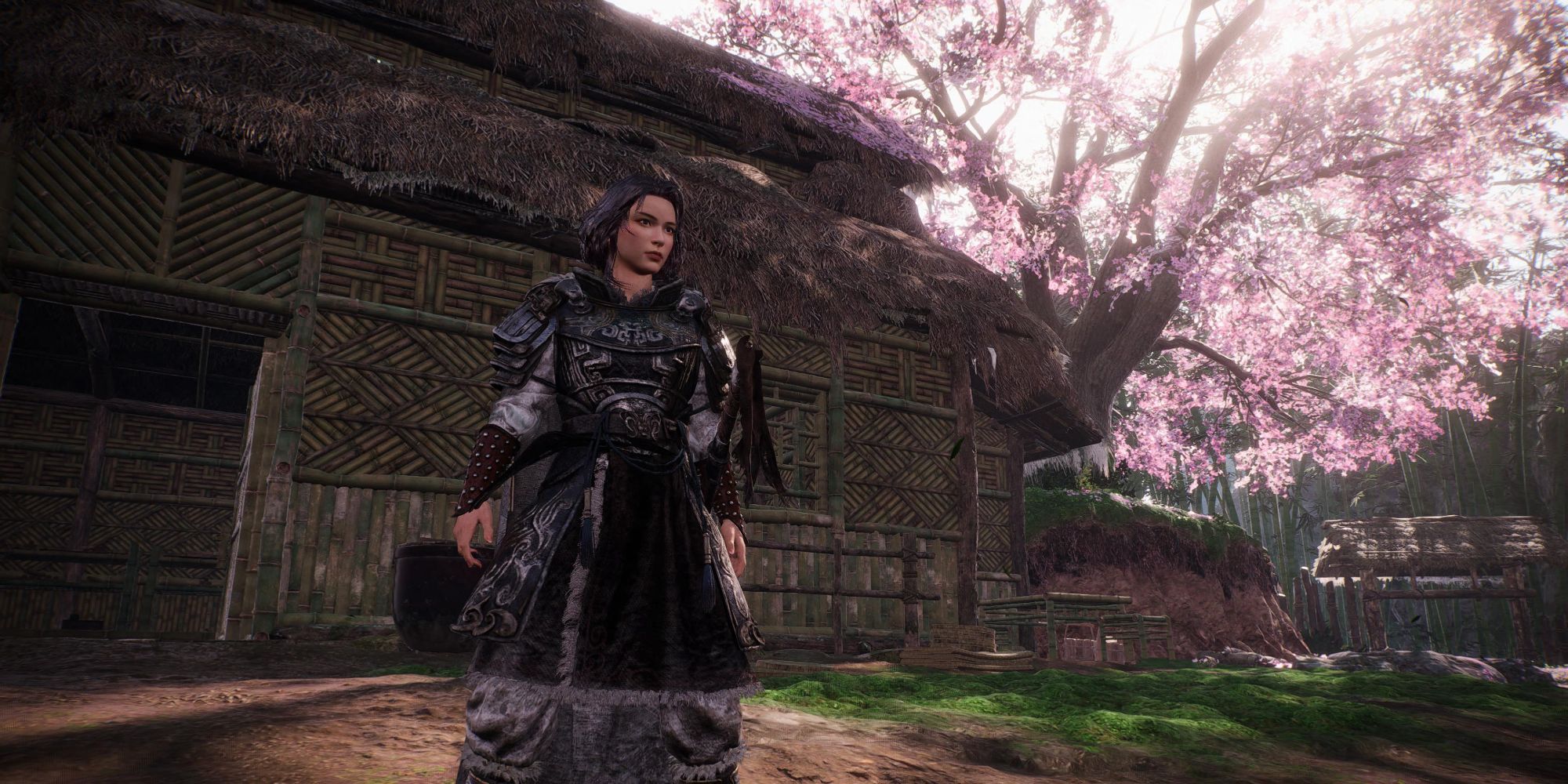 Wo Long: Fallen Dynasty - Respect your character in Hidden Village