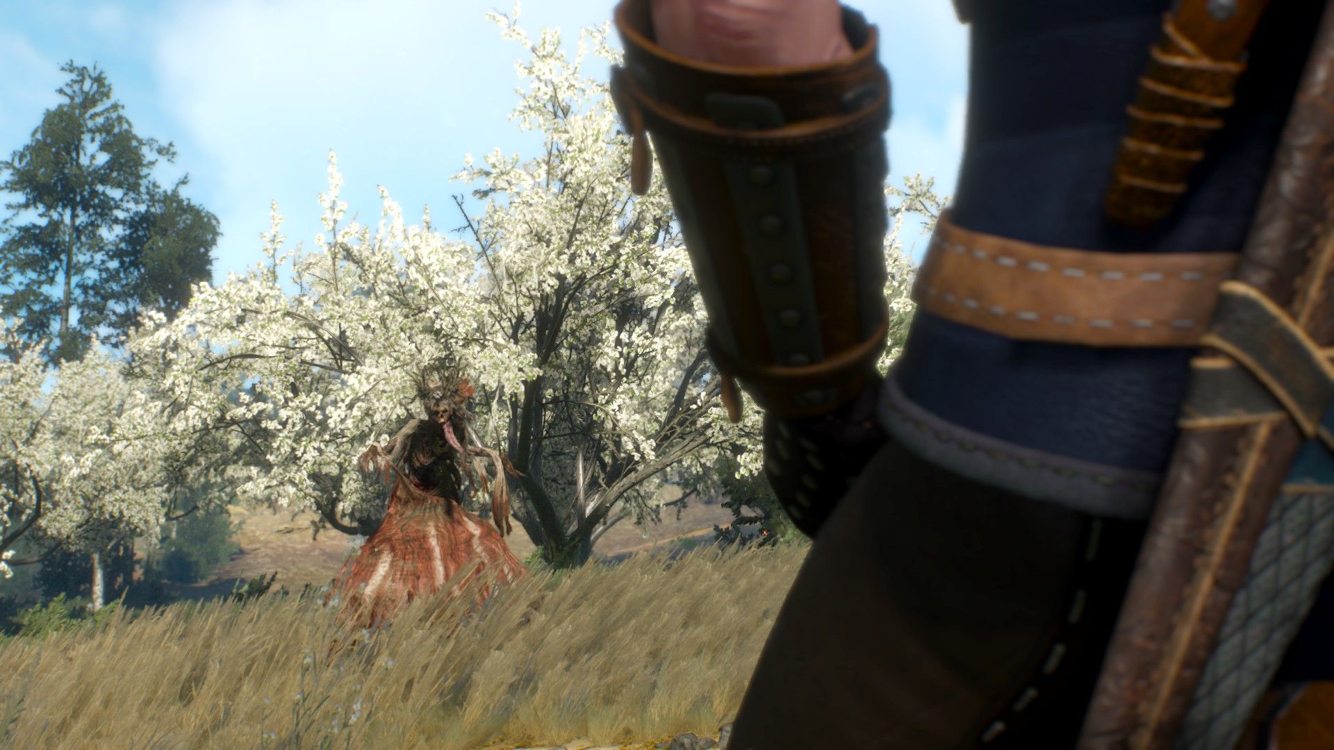 A Noonwraith appears opposite Geralt in a field as the two prepare to fight.
