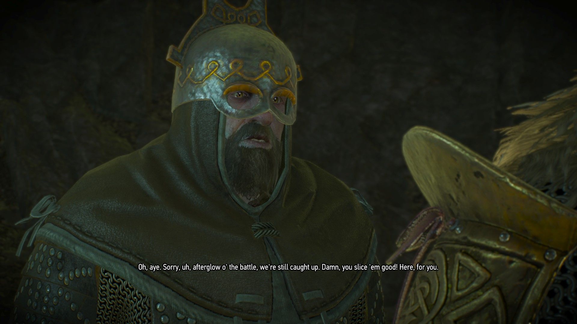 A screenshot of a conversation in The Witcher 3, with a warrior thanking Geralt for saving his life.
