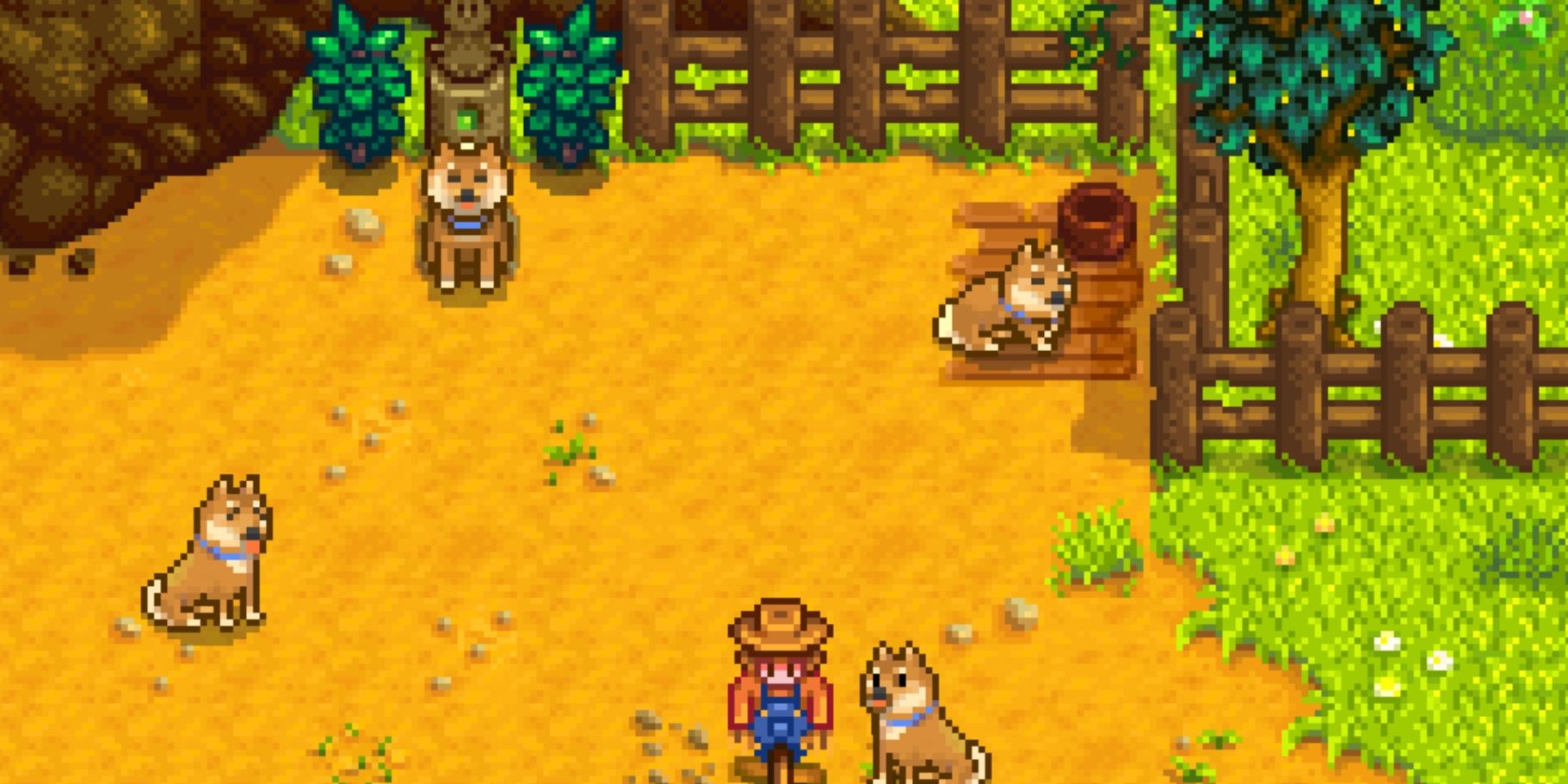 Лучшие моды на животных в Stardew Valley