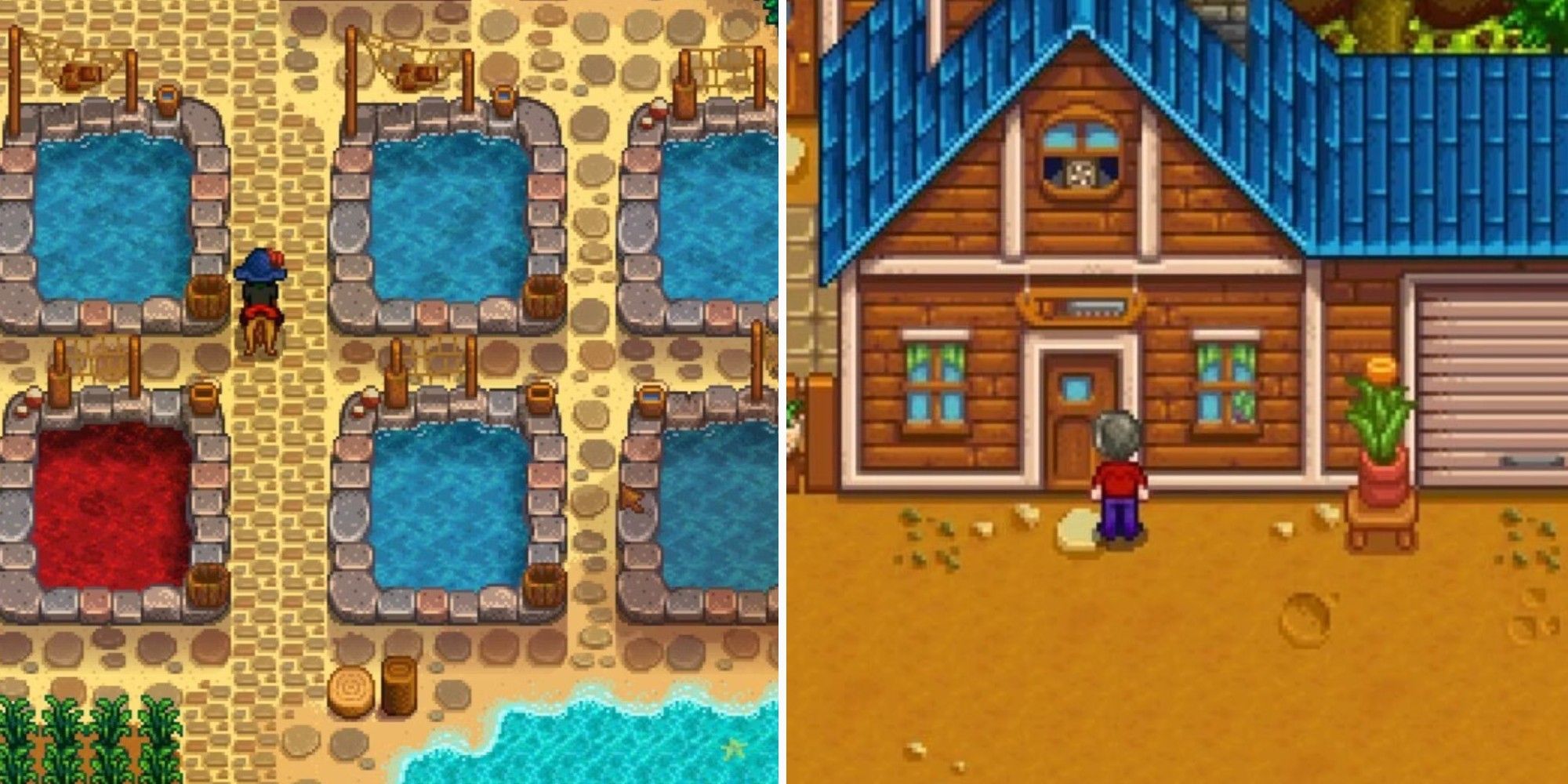 Several small fishing ponds and a lumberjacks house in Stardew Valley the video game