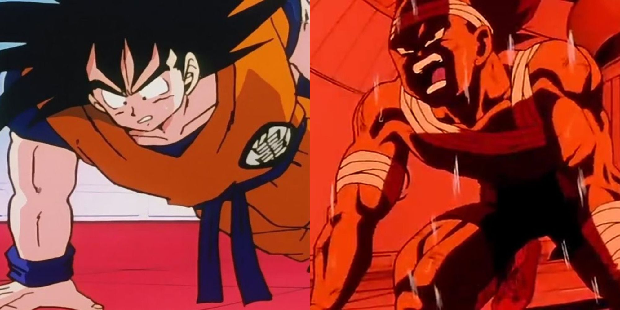 Dragon Ball Goku does push-ups and Vegeta does push-ups in the hypergravity chamber