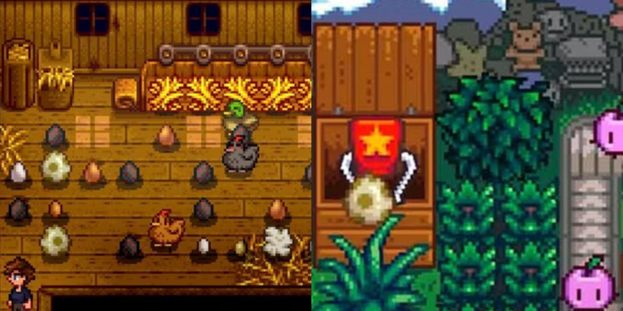 How To Upgrade Your House In Stardew Valley