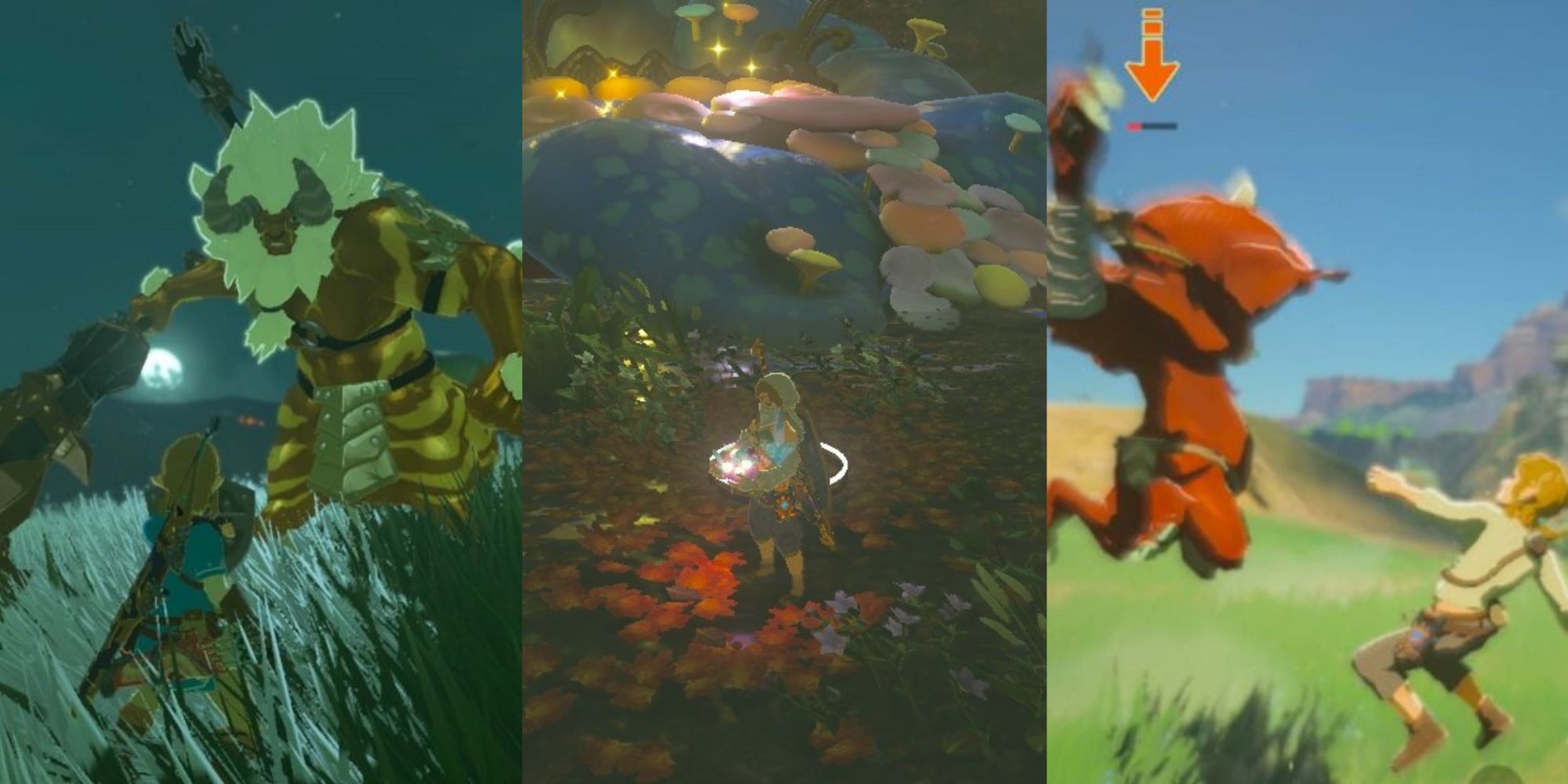 Things You Should Know in Breath of the Wild - The Legend of Zelda