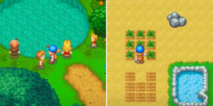 Harvest Moon DS And DS Cute