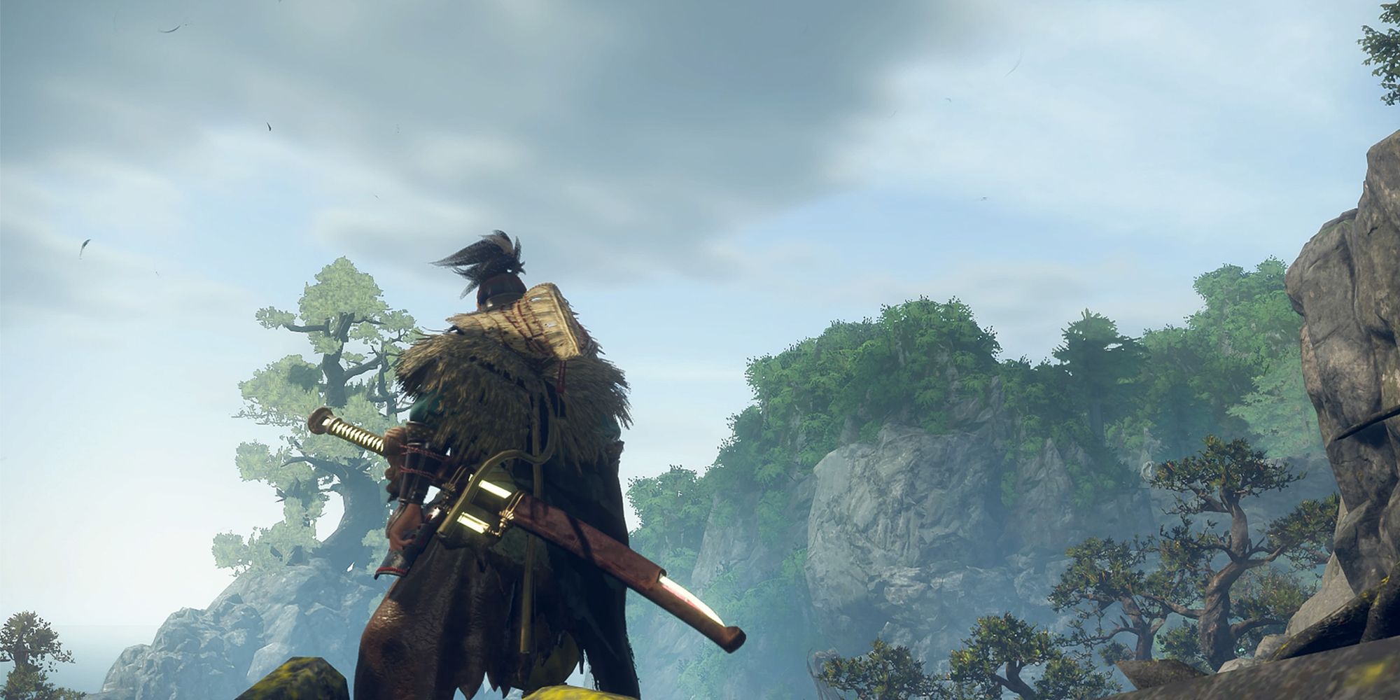 a hunter with a katana looking at the sky and mountains