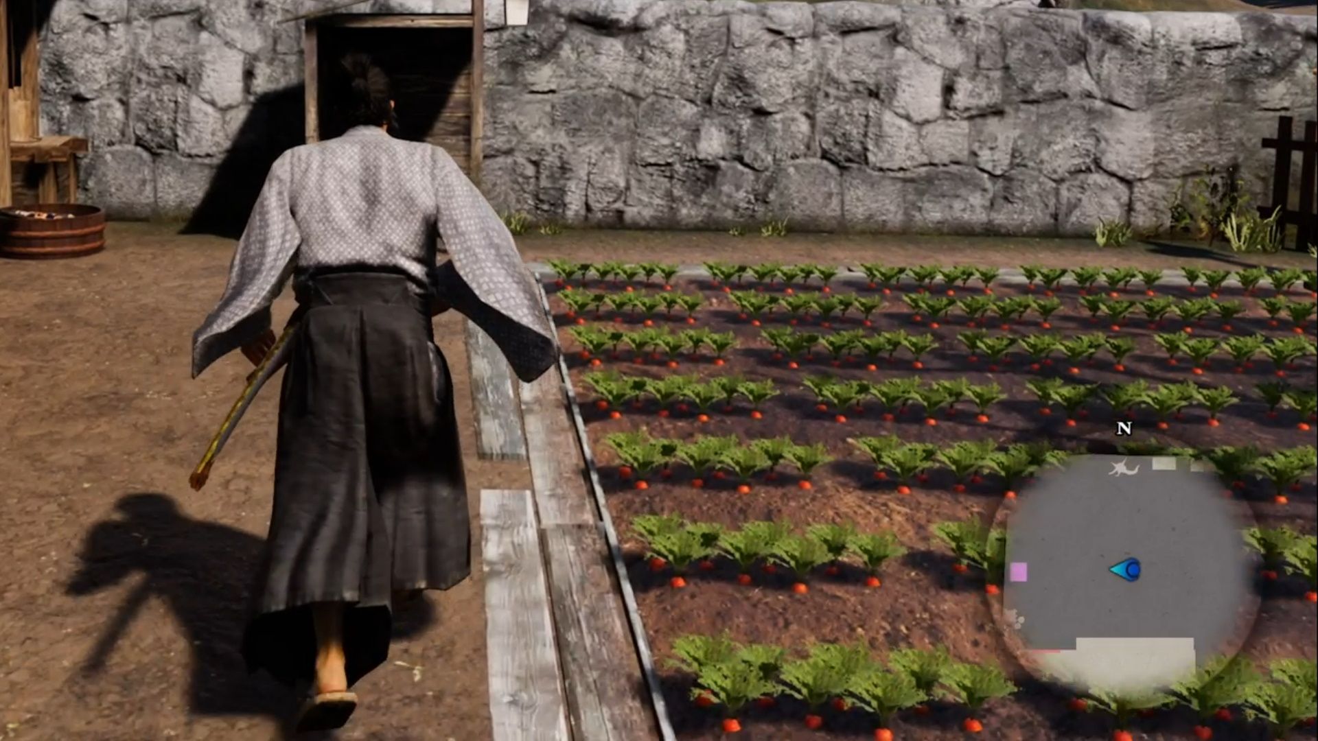 Like A Dragon Ishin, Ryoma walks beside a giant crop of carrots