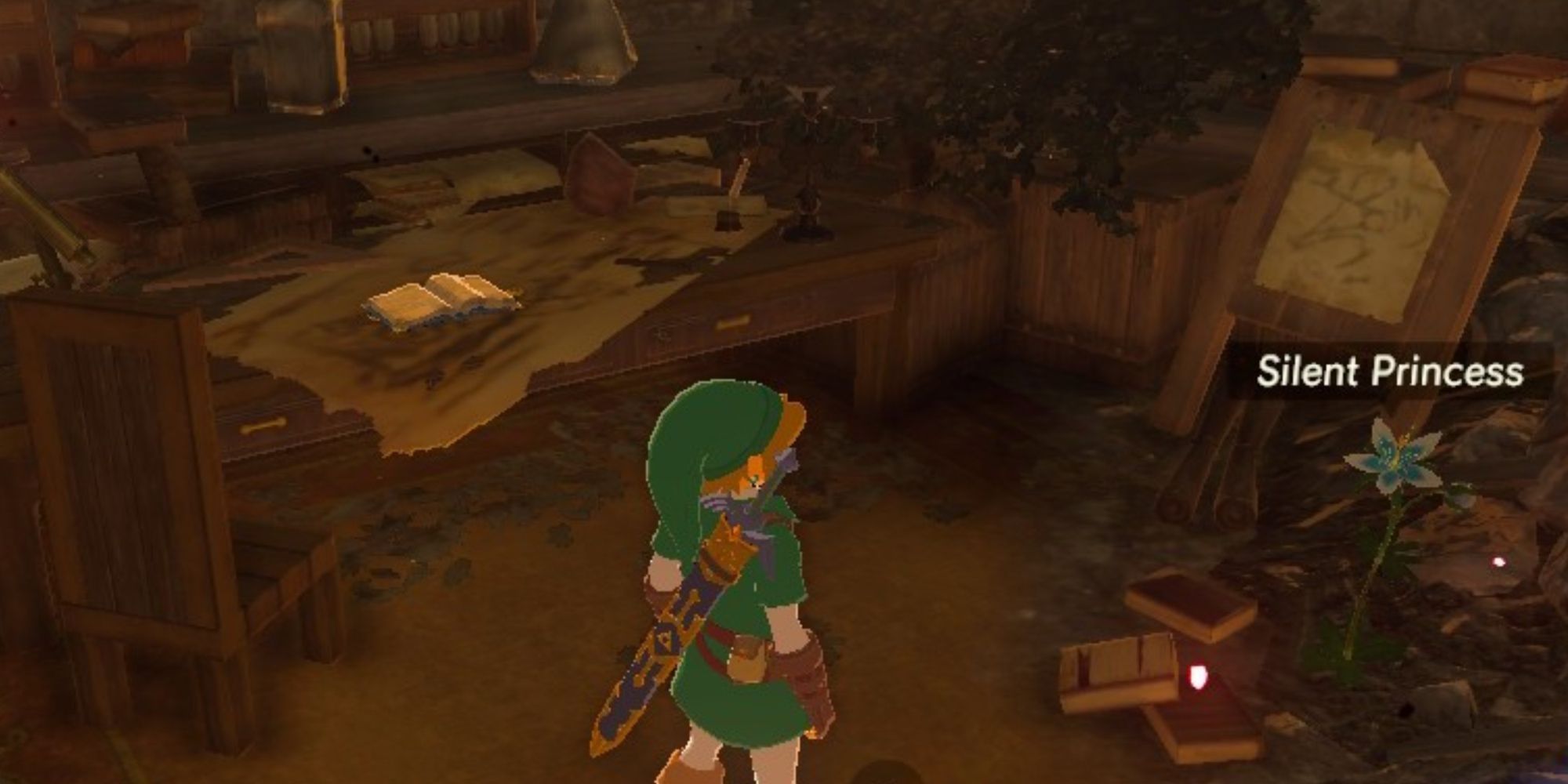 Link looking at the Silent Princess in Zelda's Study