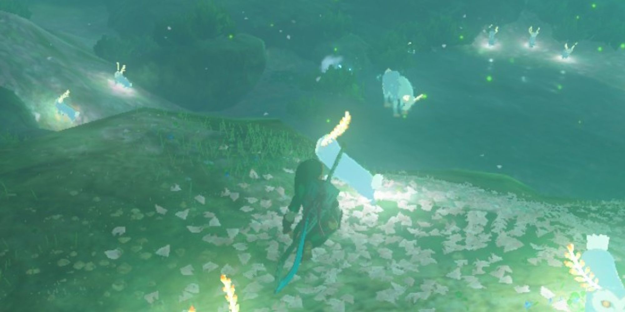 Link surrounded by Blupees at Satori Mountain in BOTW