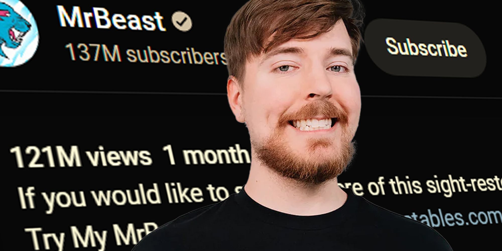 The Truth About Mr.Beast