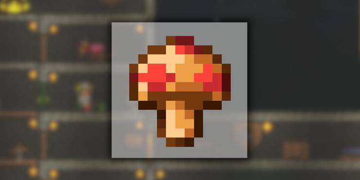Mushroom