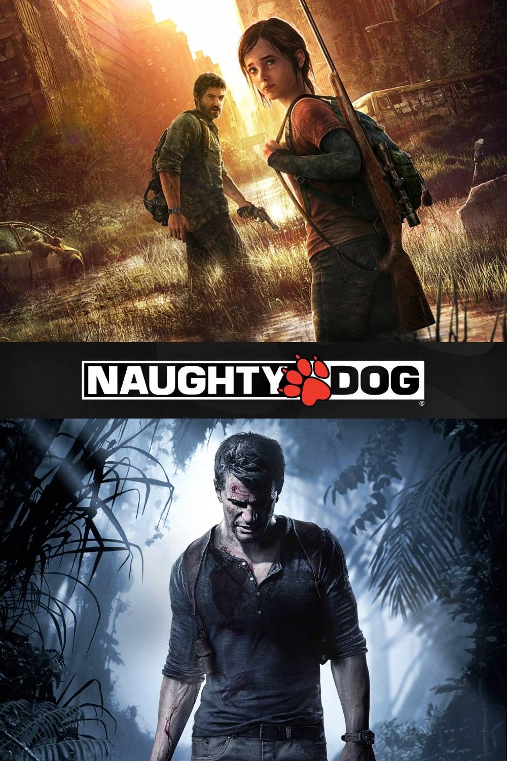 Naughty Dog Cover