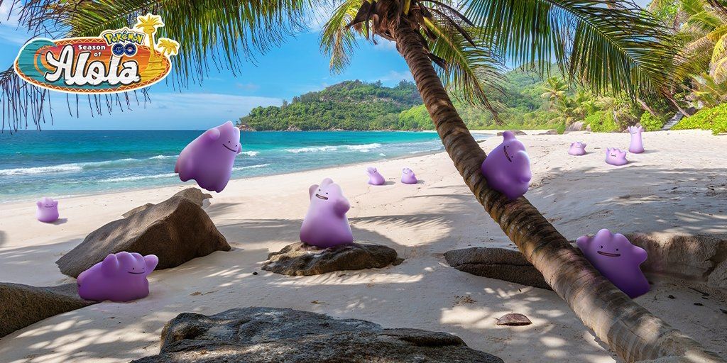 Several Dittos scattered around the shore of a beach