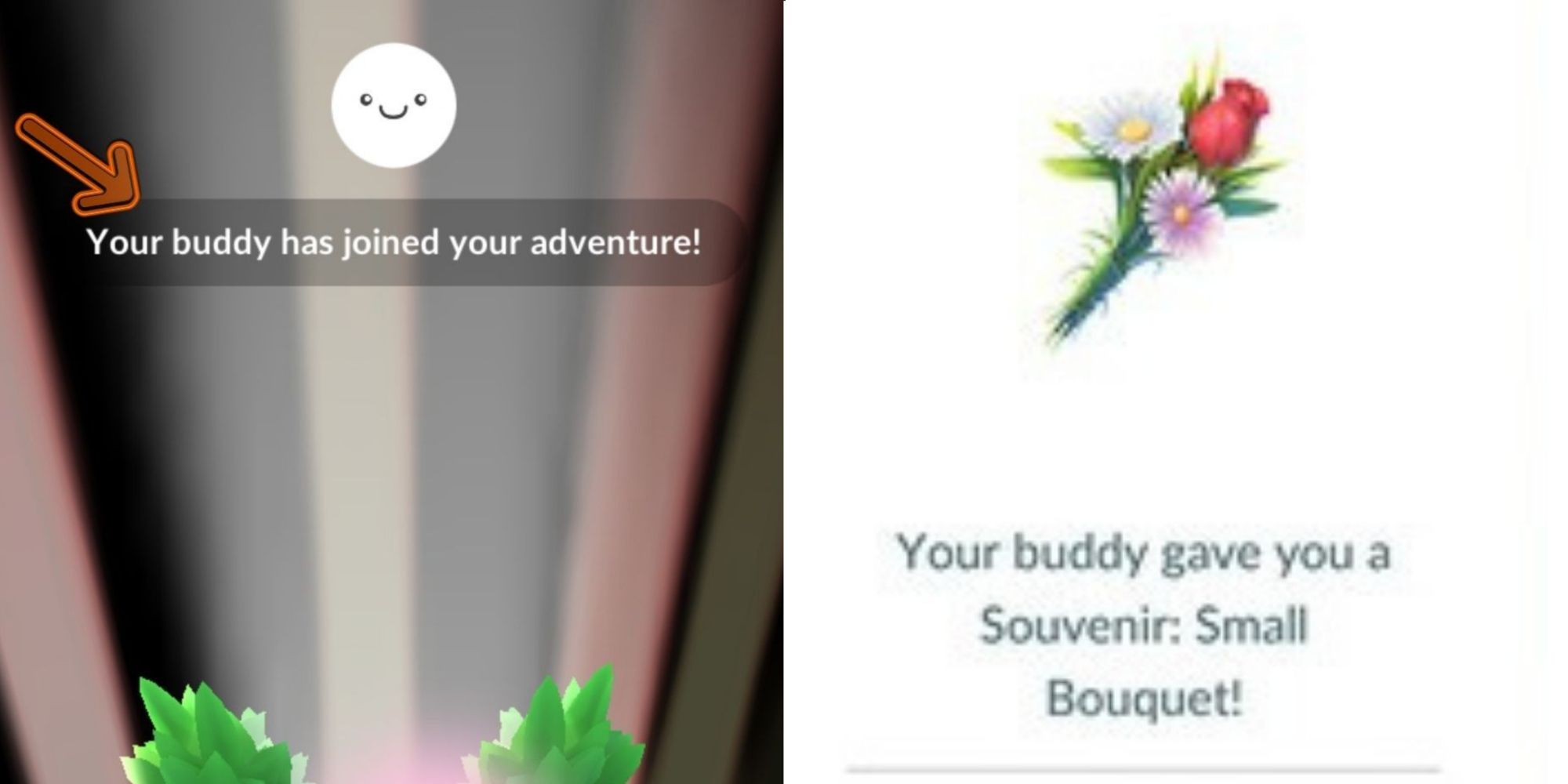 Pokemon Go screenshots showing a Pokemon has joined your adventure and given the player a souvenir bouquet