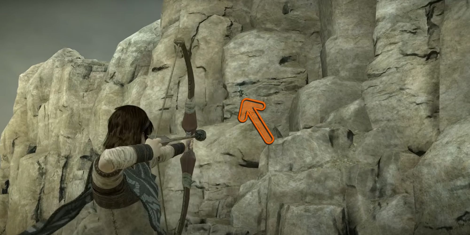 The player aims a bow at a small Lizard on a cliff wall