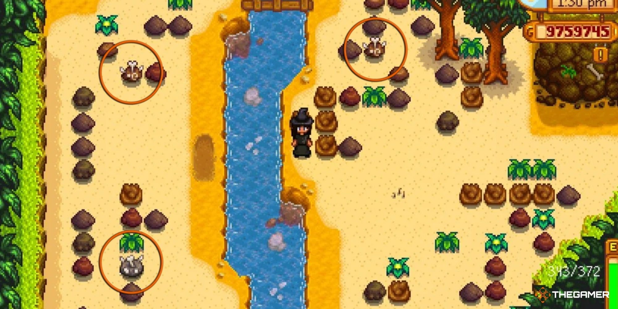 Complete Guide To Ginger Island In Stardew Valley