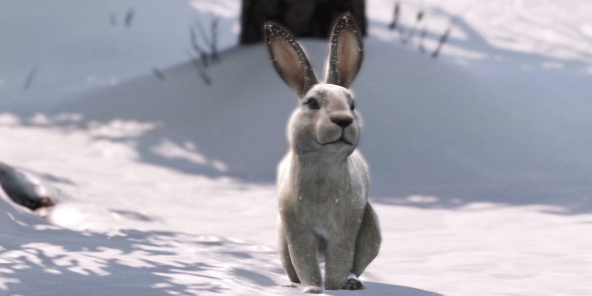 Great News: That Bunny Survived The Latest Episode Of The Last Of Us