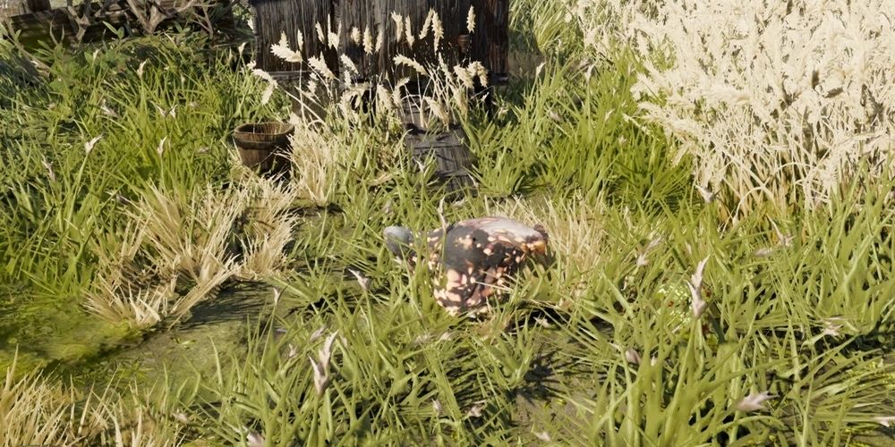 7 Easy-To-Miss Quests In Divinity: Original Sin 2